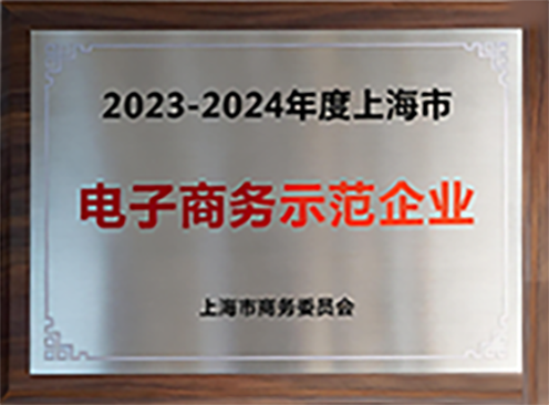 上海市电子商务示范企业